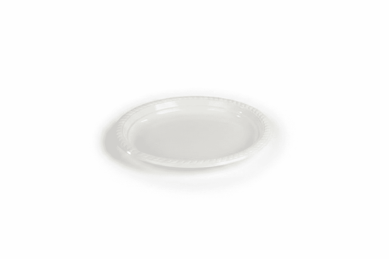 צלחת צבעונית 9 /לבן